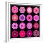 Big Collection of Various Purple Pattern Flowers-tr3gi-Framed Premium Giclee Print