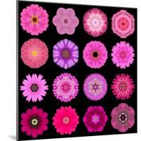 Big Collection of Various Purple Pattern Flowers-tr3gi-Mounted Premium Giclee Print