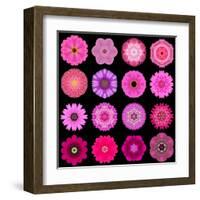 Big Collection of Various Purple Pattern Flowers-tr3gi-Framed Art Print