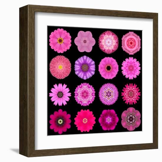 Big Collection of Various Purple Pattern Flowers-tr3gi-Framed Art Print