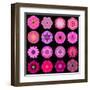 Big Collection of Various Purple Pattern Flowers-tr3gi-Framed Art Print