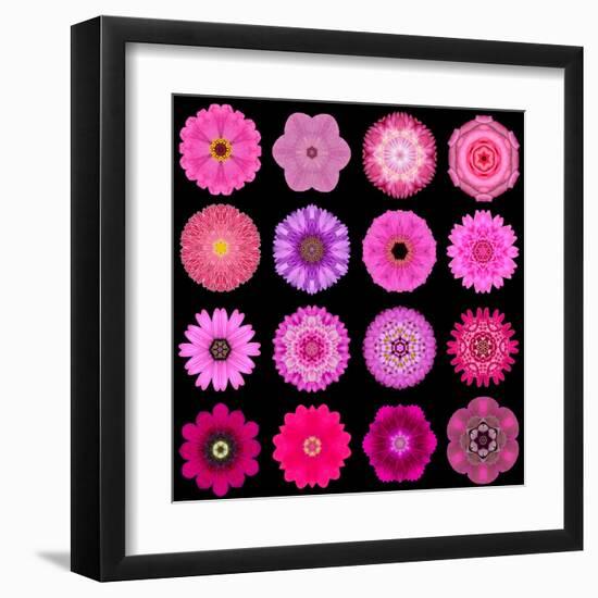 Big Collection of Various Purple Pattern Flowers-tr3gi-Framed Art Print