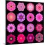 Big Collection of Various Purple Pattern Flowers-tr3gi-Mounted Art Print