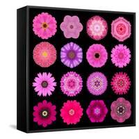 Big Collection of Various Purple Pattern Flowers-tr3gi-Framed Stretched Canvas