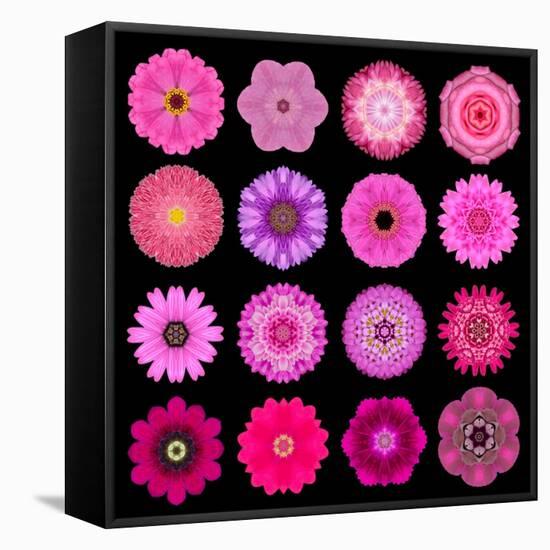 Big Collection of Various Purple Pattern Flowers-tr3gi-Framed Stretched Canvas