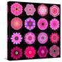 Big Collection of Various Purple Pattern Flowers-tr3gi-Stretched Canvas