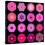 Big Collection of Various Purple Pattern Flowers-tr3gi-Stretched Canvas