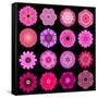 Big Collection of Various Purple Pattern Flowers-tr3gi-Framed Stretched Canvas