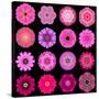 Big Collection of Various Purple Pattern Flowers-tr3gi-Stretched Canvas