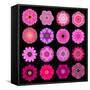 Big Collection of Various Purple Pattern Flowers-tr3gi-Framed Stretched Canvas