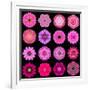Big Collection of Various Purple Pattern Flowers-tr3gi-Framed Art Print