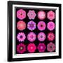 Big Collection of Various Purple Pattern Flowers-tr3gi-Framed Art Print