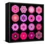 Big Collection of Various Purple Pattern Flowers-tr3gi-Framed Stretched Canvas