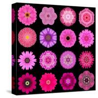 Big Collection of Various Purple Pattern Flowers-tr3gi-Stretched Canvas