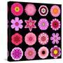 Big Collection of Various Purple Pattern Flowers-tr3gi-Stretched Canvas