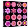 Big Collection of Various Purple Pattern Flowers-tr3gi-Stretched Canvas