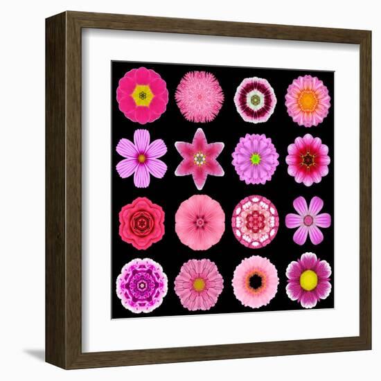 Big Collection of Various Purple Pattern Flowers-tr3gi-Framed Art Print