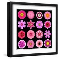 Big Collection of Various Purple Pattern Flowers-tr3gi-Framed Art Print