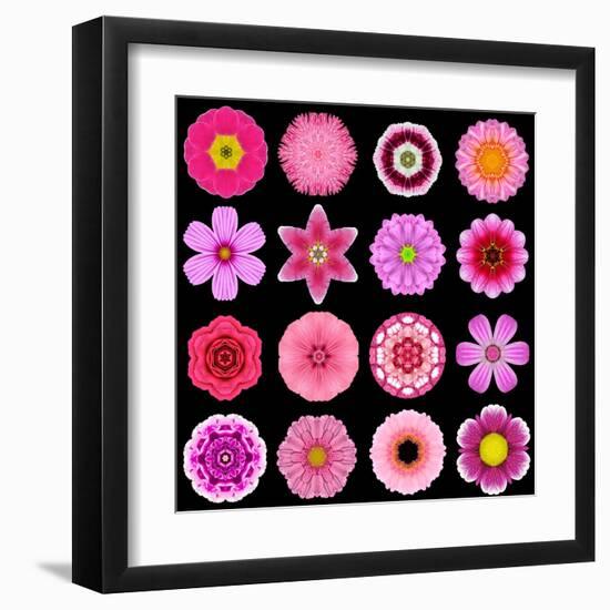 Big Collection of Various Purple Pattern Flowers-tr3gi-Framed Art Print