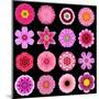 Big Collection of Various Purple Pattern Flowers-tr3gi-Mounted Art Print