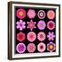 Big Collection of Various Purple Pattern Flowers-tr3gi-Framed Premium Giclee Print