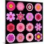 Big Collection of Various Purple Pattern Flowers-tr3gi-Mounted Premium Giclee Print