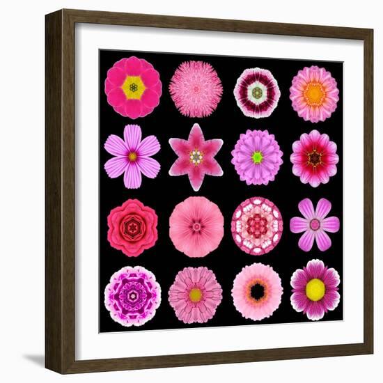 Big Collection of Various Purple Pattern Flowers-tr3gi-Framed Art Print