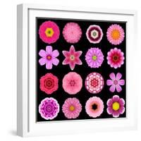 Big Collection of Various Purple Pattern Flowers-tr3gi-Framed Art Print