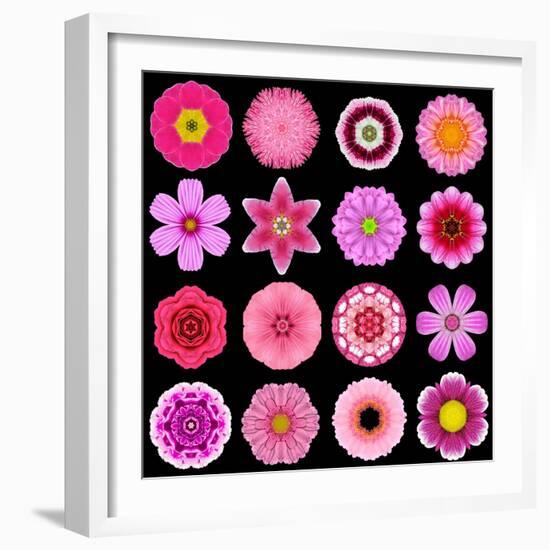 Big Collection of Various Purple Pattern Flowers-tr3gi-Framed Art Print