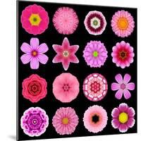 Big Collection of Various Purple Pattern Flowers-tr3gi-Mounted Art Print