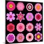 Big Collection of Various Purple Pattern Flowers-tr3gi-Mounted Art Print