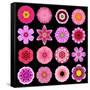 Big Collection of Various Purple Pattern Flowers-tr3gi-Framed Stretched Canvas