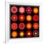 Big Collection of Various Red Pattern Flowers-tr3gi-Framed Art Print