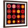 Big Collection of Various Red Pattern Flowers-tr3gi-Framed Art Print