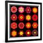 Big Collection of Various Red Pattern Flowers-tr3gi-Framed Art Print