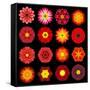 Big Collection of Various Red Pattern Flowers-tr3gi-Framed Stretched Canvas