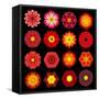 Big Collection of Various Red Pattern Flowers-tr3gi-Framed Stretched Canvas