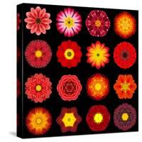 Big Collection of Various Red Pattern Flowers-tr3gi-Stretched Canvas