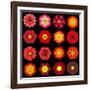 Big Collection of Various Red Pattern Flowers-tr3gi-Framed Art Print