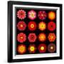 Big Collection of Various Red Pattern Flowers-tr3gi-Framed Art Print