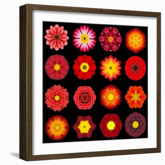 Big Collection of Various Red Pattern Flowers-tr3gi-Framed Art Print