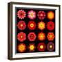 Big Collection of Various Red Pattern Flowers-tr3gi-Framed Art Print