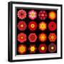 Big Collection of Various Red Pattern Flowers-tr3gi-Framed Art Print
