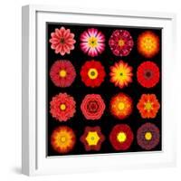 Big Collection of Various Red Pattern Flowers-tr3gi-Framed Art Print