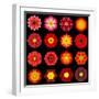 Big Collection of Various Red Pattern Flowers-tr3gi-Framed Art Print