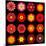 Big Collection of Various Red Pattern Flowers-tr3gi-Mounted Art Print