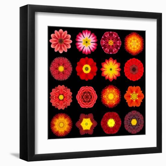 Big Collection of Various Red Pattern Flowers-tr3gi-Framed Art Print