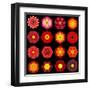 Big Collection of Various Red Pattern Flowers-tr3gi-Framed Art Print