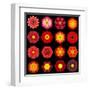 Big Collection of Various Red Pattern Flowers-tr3gi-Framed Art Print