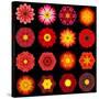 Big Collection of Various Red Pattern Flowers-tr3gi-Stretched Canvas